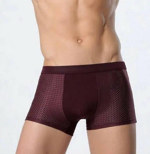 Ice silk men's underwear mesh boxer - RtrStore