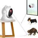 Rechargeable Motion Activated Cat Laser Toy Automatic - RtrStore