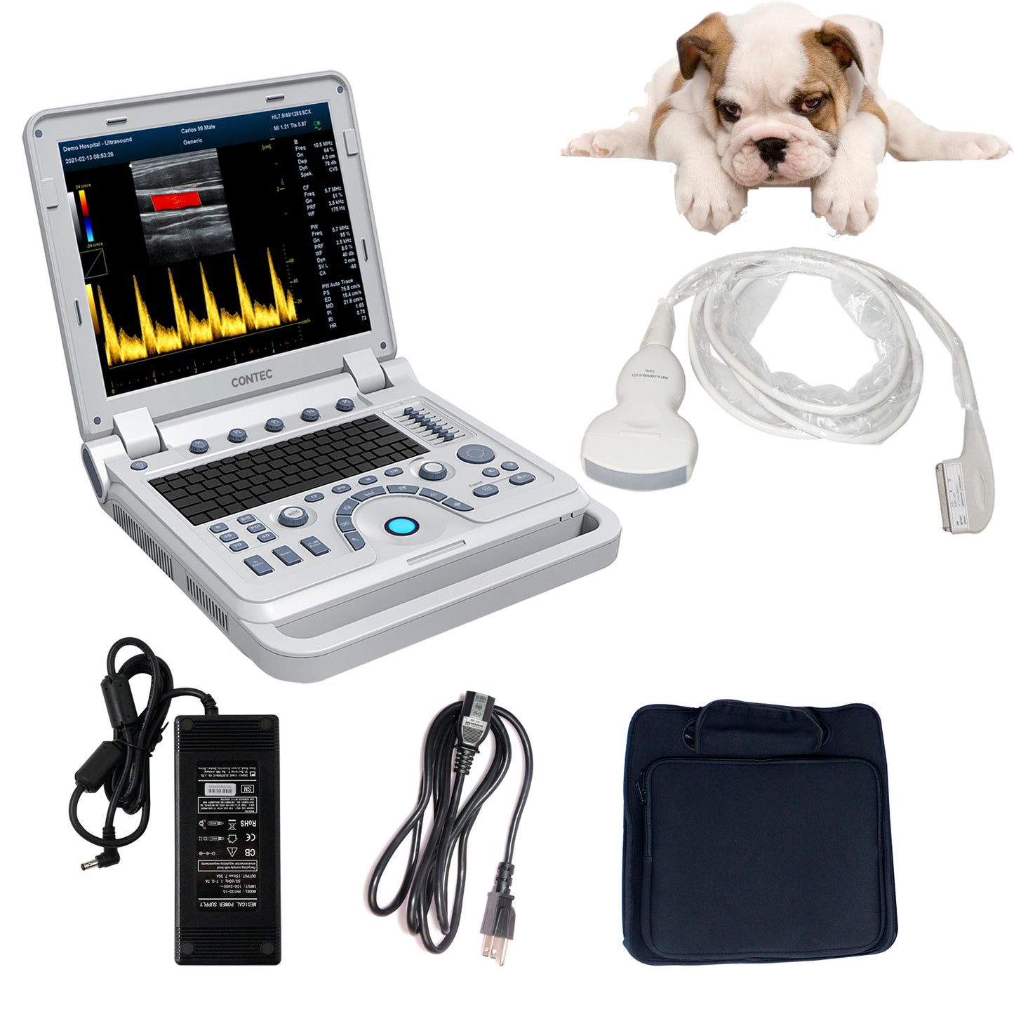 VET Veterinary Portable Ultrasound Scanner Laptop Machine Color Doppler For Pregnancy In Animals